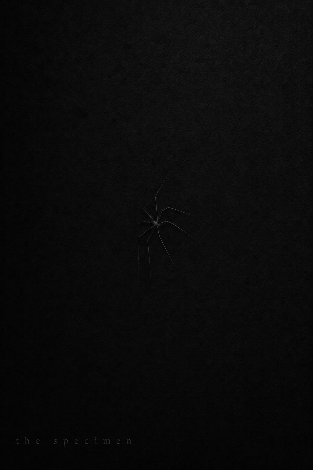 The Specimen — by The Zürich Spider